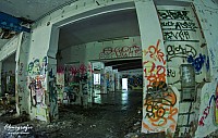 IMGP0508