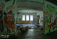 IMGP0519