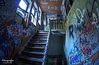IMGP0534