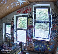 IMGP0537