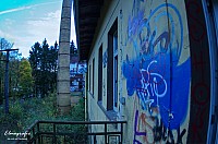 IMGP0543