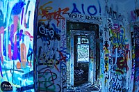 IMGP0546