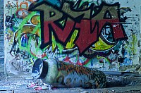 IMGP0550