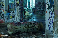 IMGP0551