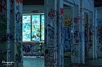 IMGP0554