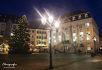 IMGP3778