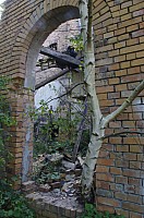 IMGP2742