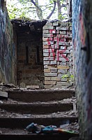 IMGP2763